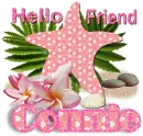 Pink Starfish- Connie