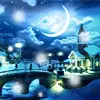 Snow Night