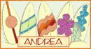 Surfboards - Andrea
