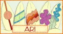 Surfboards - Ari