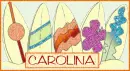 Surfboards - Carolina