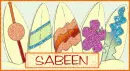 Surfboards - Sabeen