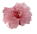 Pixel flower