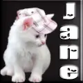 Cat Avatar - Jane
