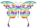 Colorful Butterfly