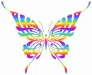 Colorful Butterfly