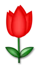 llower 