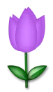 llower 