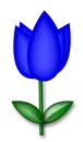 llower 