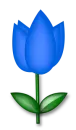 llower 