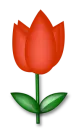 llower 