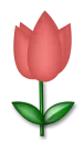 llower 