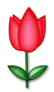 llower 