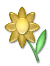 llower 