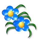 llower 