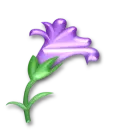 llower 