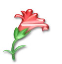 llower 