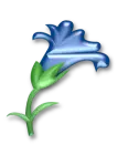 llower 