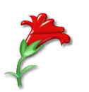 llower 