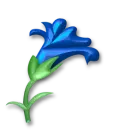 llower 