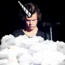 Harry