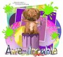 awe_ dorable