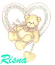 risna teddy bear