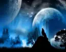 Silver Wolf Moon