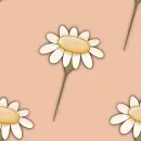 Daisies  Background