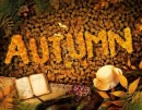 Autum