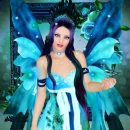 Paradise Bird