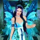 Migdalia-Paradise Bird