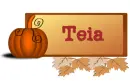 Teia