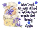Truest Happiness ~ Shakela