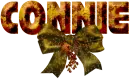 Connie-Autumn Bow