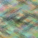 Feathers