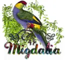 Migdalia