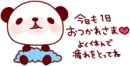 Cute Panda