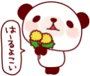 Cute Panda