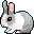Grey and White Hare
