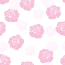 Cute Background