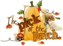 The Pick Of The Patch
