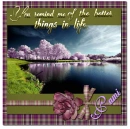 Better Things in Life- Pami