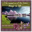 Better Things in life - Elia