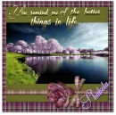 Better Things in Life- Shakela