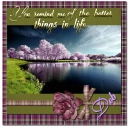 Better Things in life - Deb