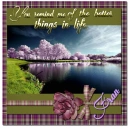 Better Things in Life- Fran