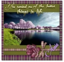 Better Things in Life- Ania