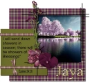 Showers in Season- Jaya