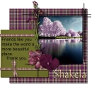 Friends like you - Shakela